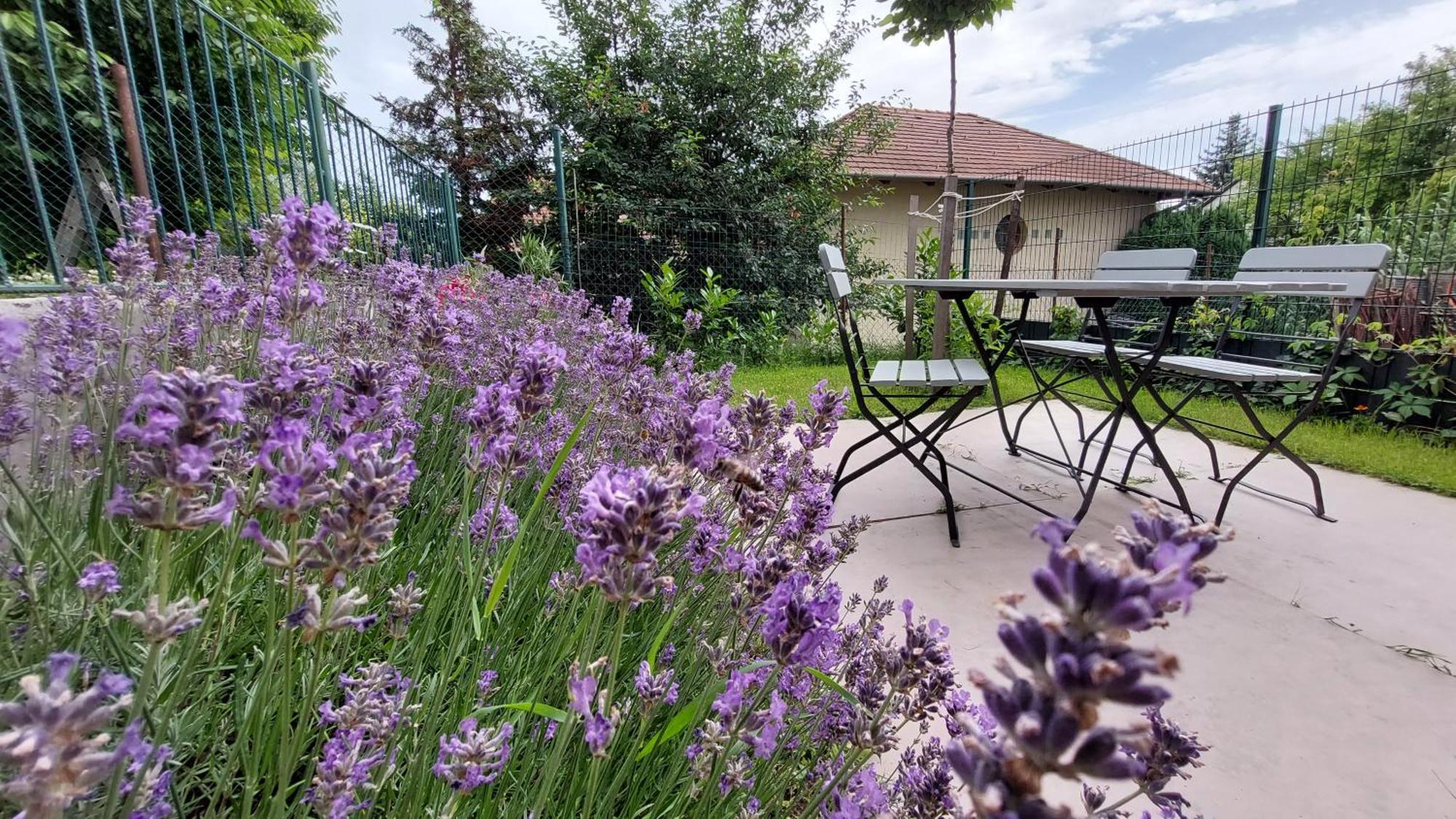 Miniszilva Apartman Balatonalmadi Luaran gambar